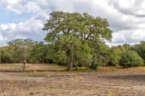 1250 Ladewig Lane Schulenburg TX 78956