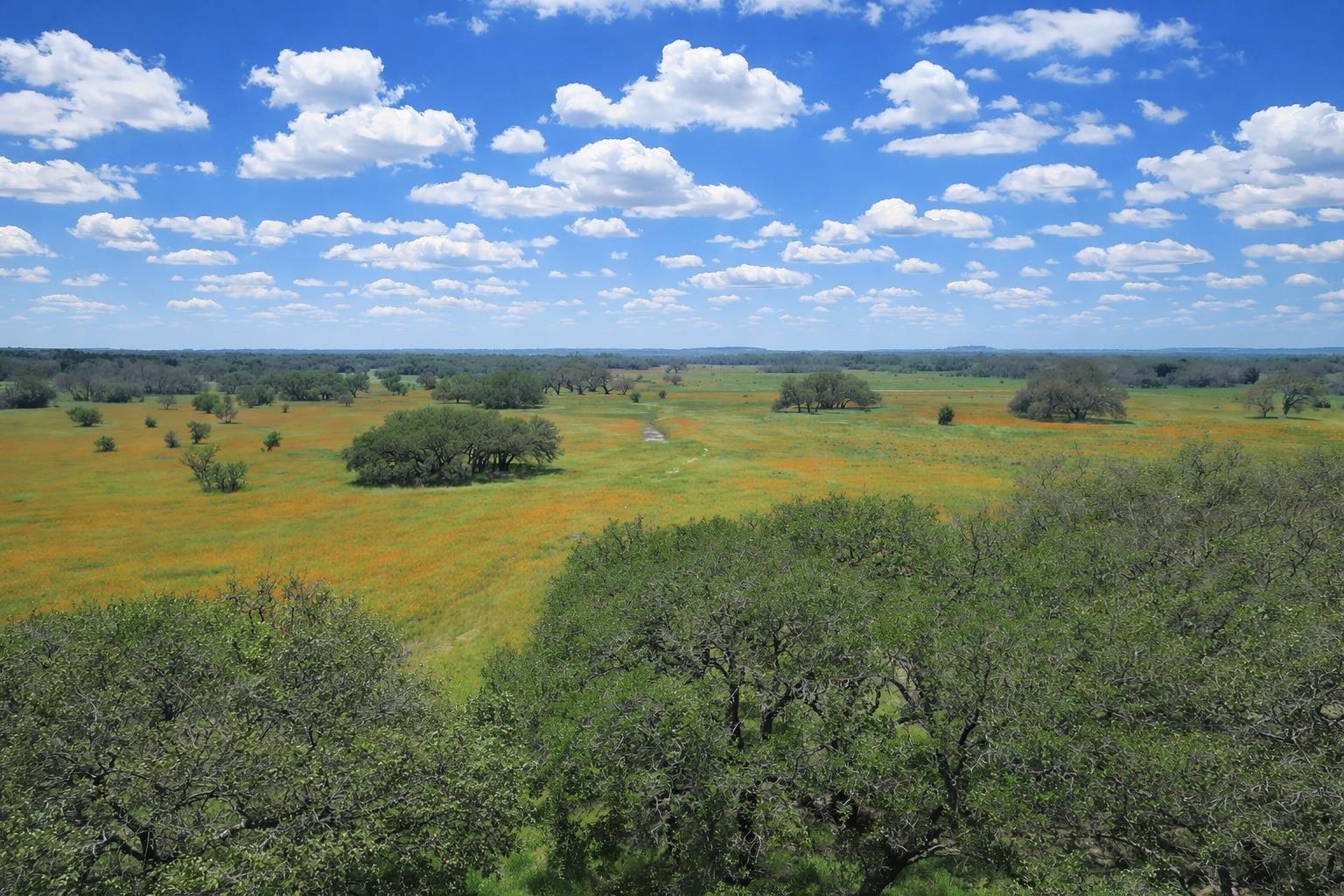 Tbd Cr 103 Lampasas TX 76550
