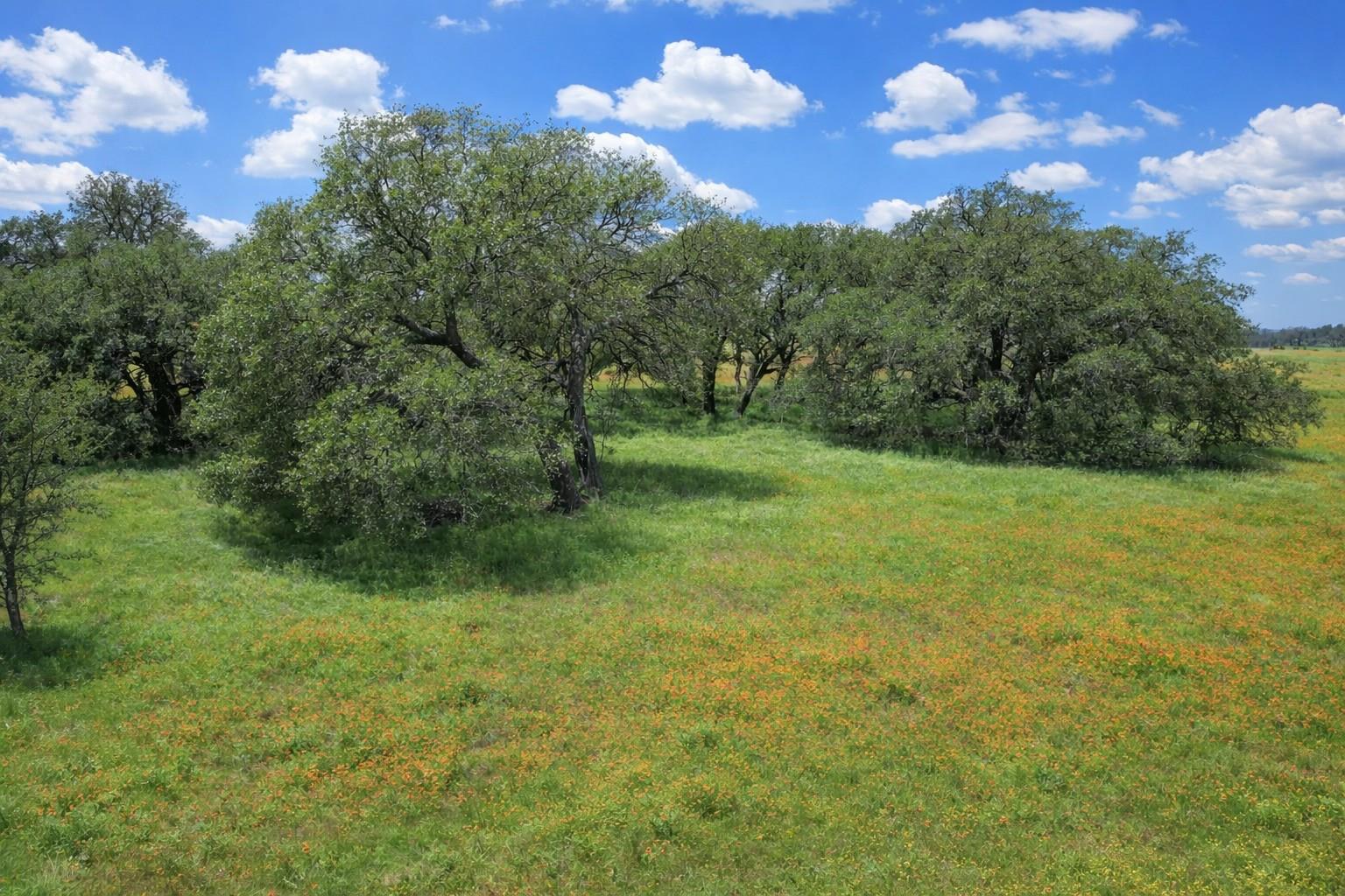 Tbd Cr 103 Lampasas TX 76550