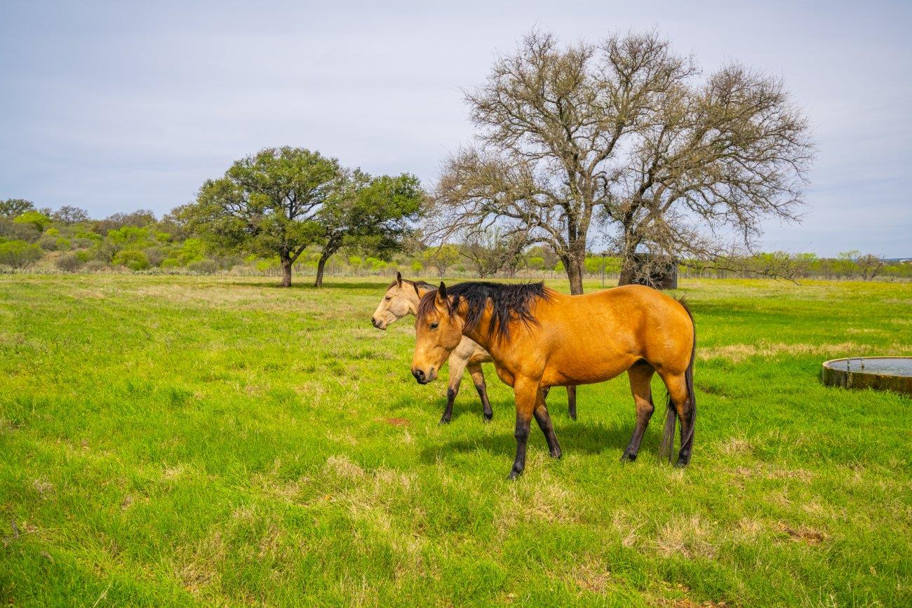 3019 S Highway 16 Llano TX 78643