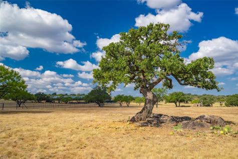 3019 S Highway 16 Llano TX 78643