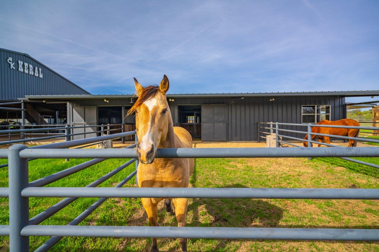 3019 S Highway 16 Llano TX 78643