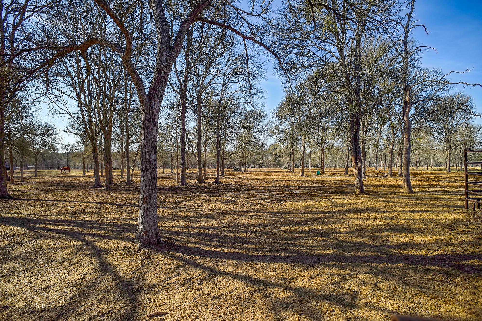 1675 Watterson Road Red Rock TX 78662