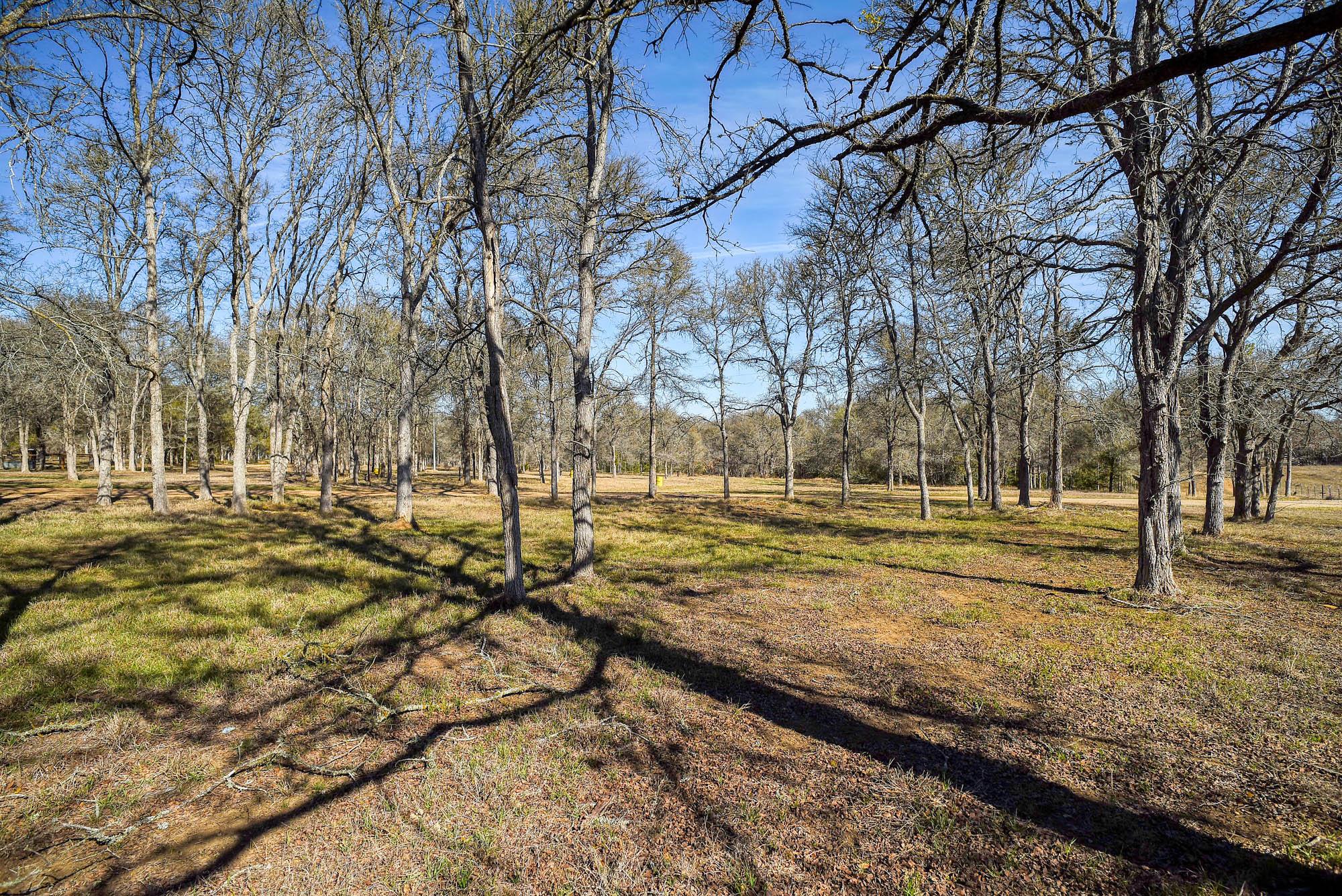 1675 Watterson Road Red Rock TX 78662