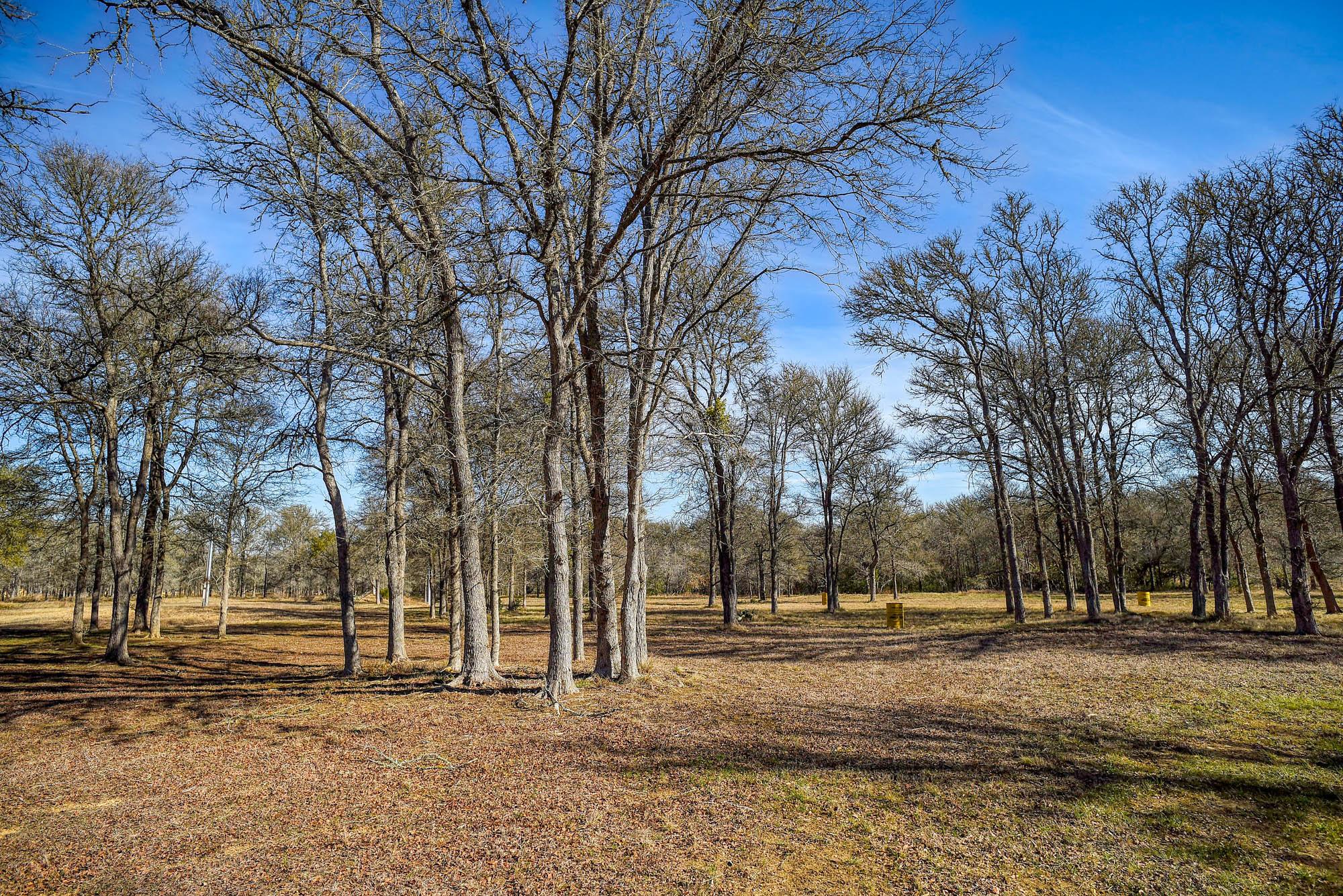 1675 Watterson Road Red Rock TX 78662