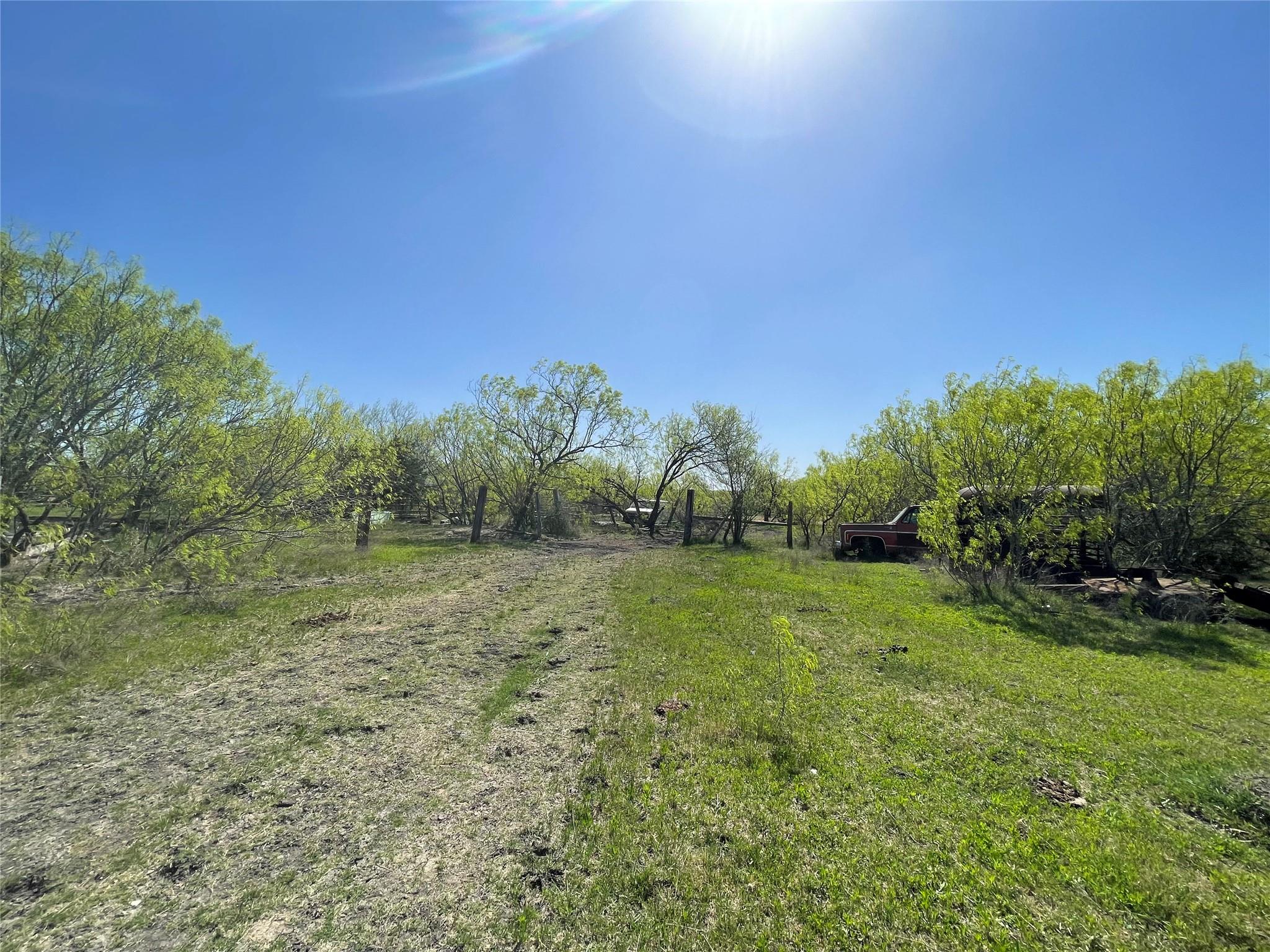 11319 Doyle Overton Road Del Valle TX 78617
