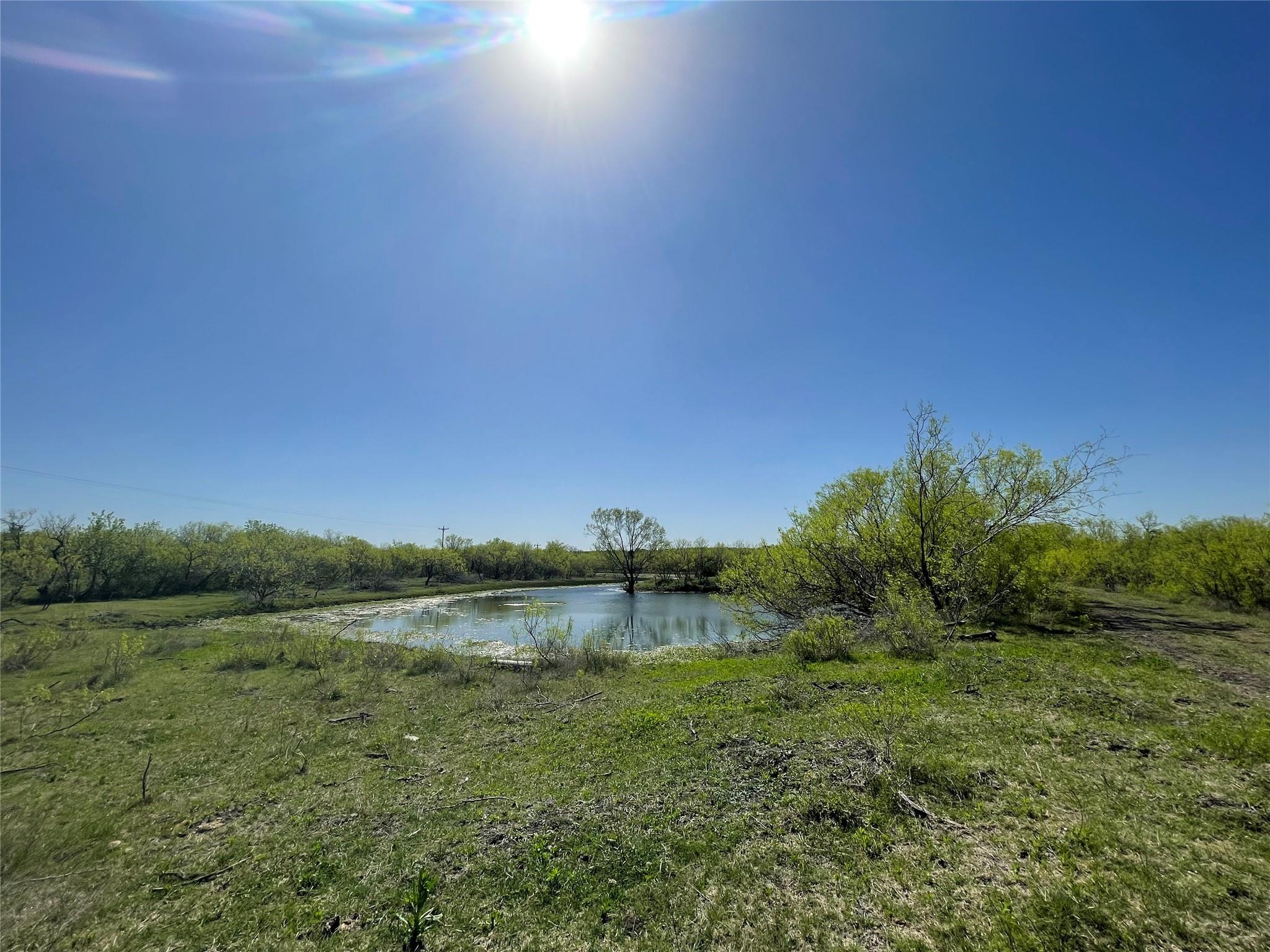 11319 Doyle Overton Road Del Valle TX 78617