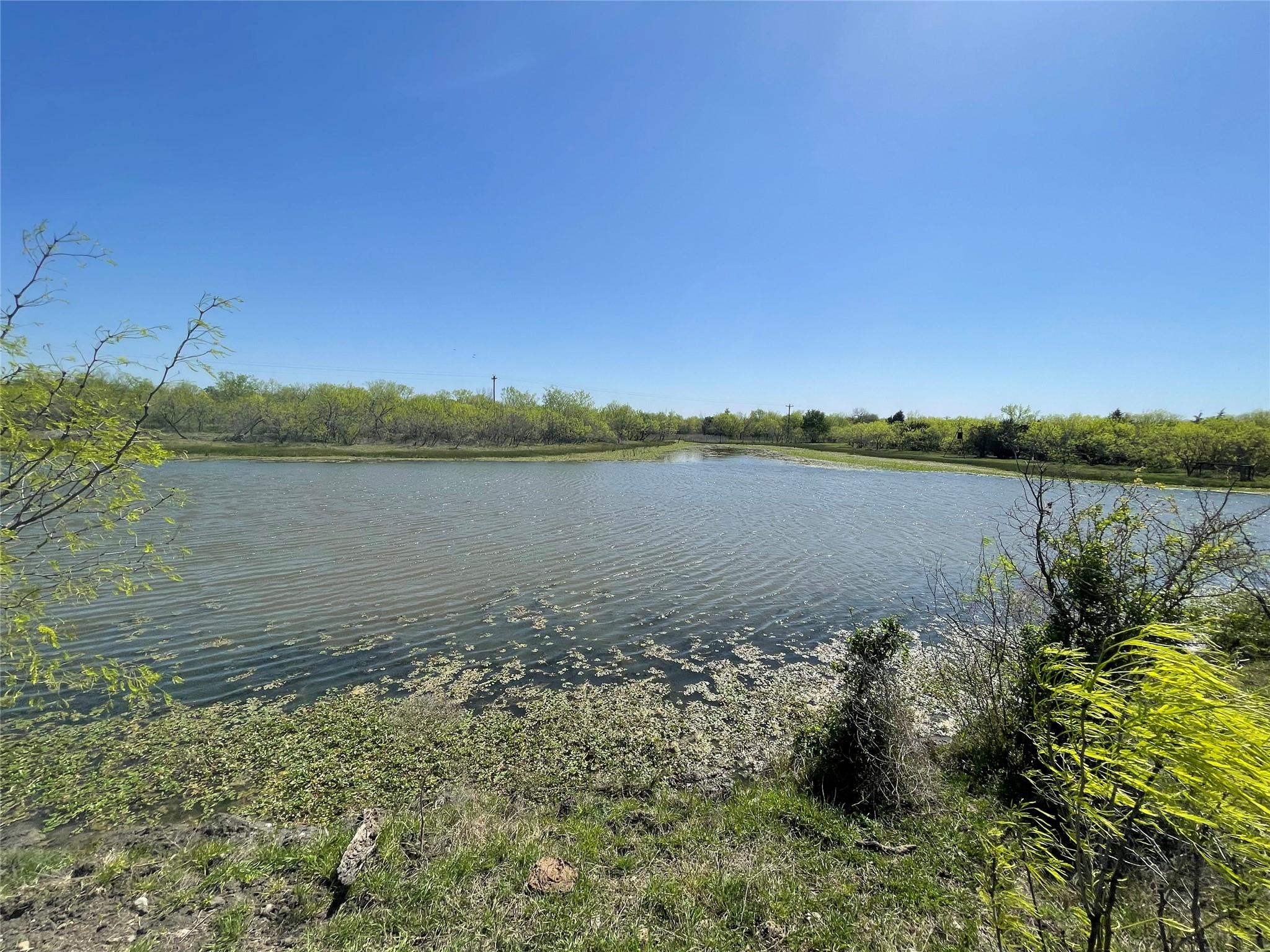 11319 Doyle Overton Road Del Valle TX 78617