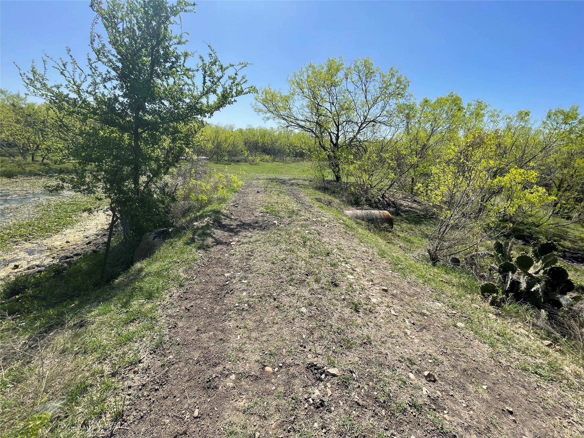 11319 Doyle Overton Road Del Valle TX 78617