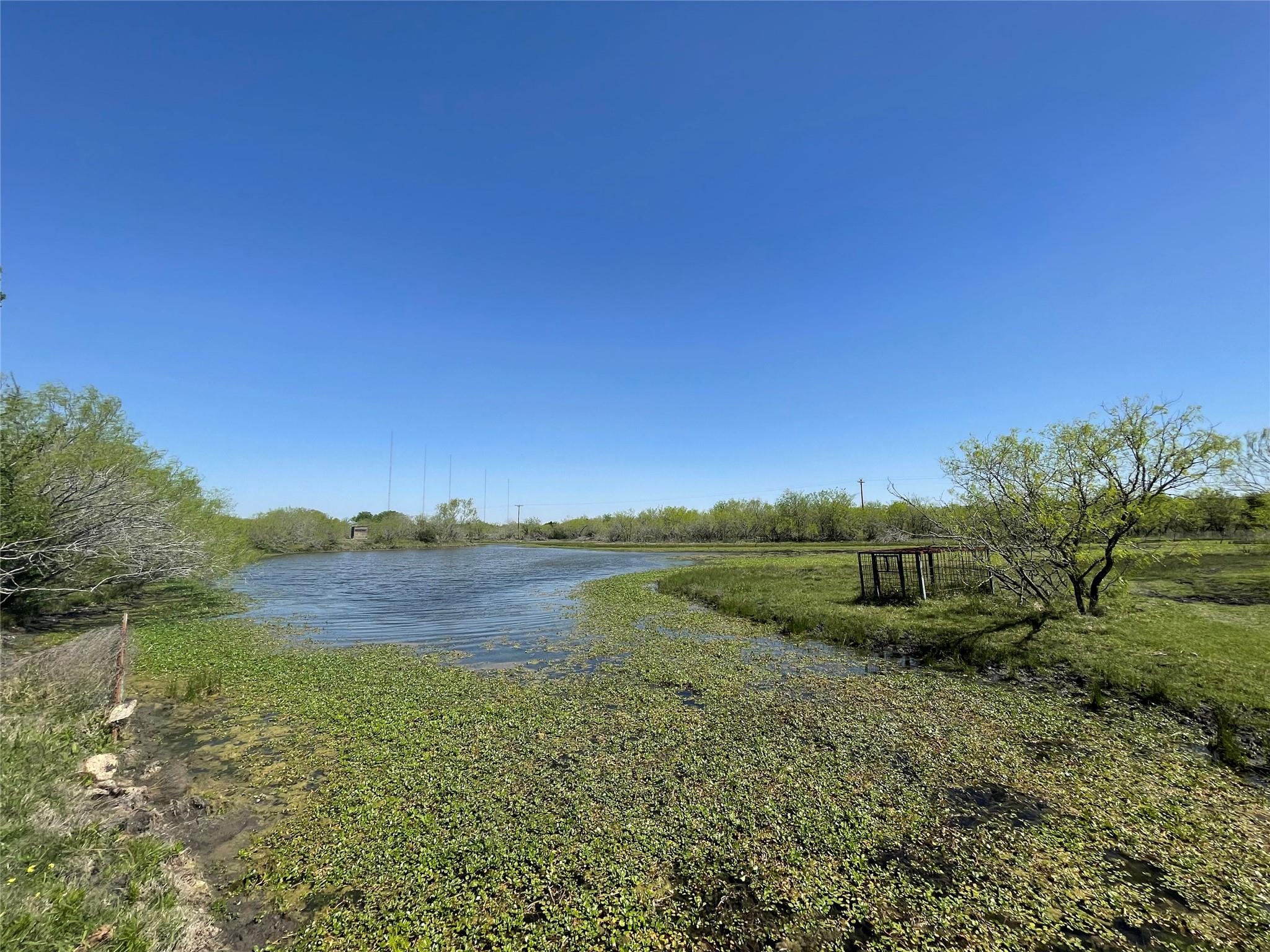 11319 Doyle Overton Road Del Valle TX 78617