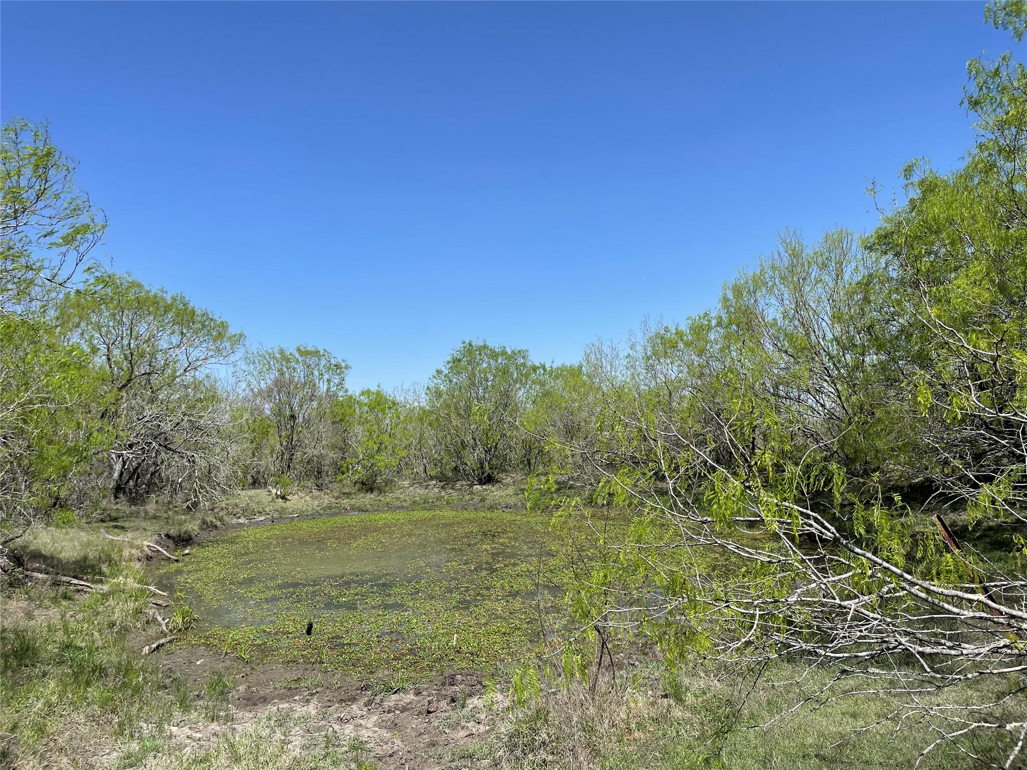 11319 Doyle Overton Road Del Valle TX 78617