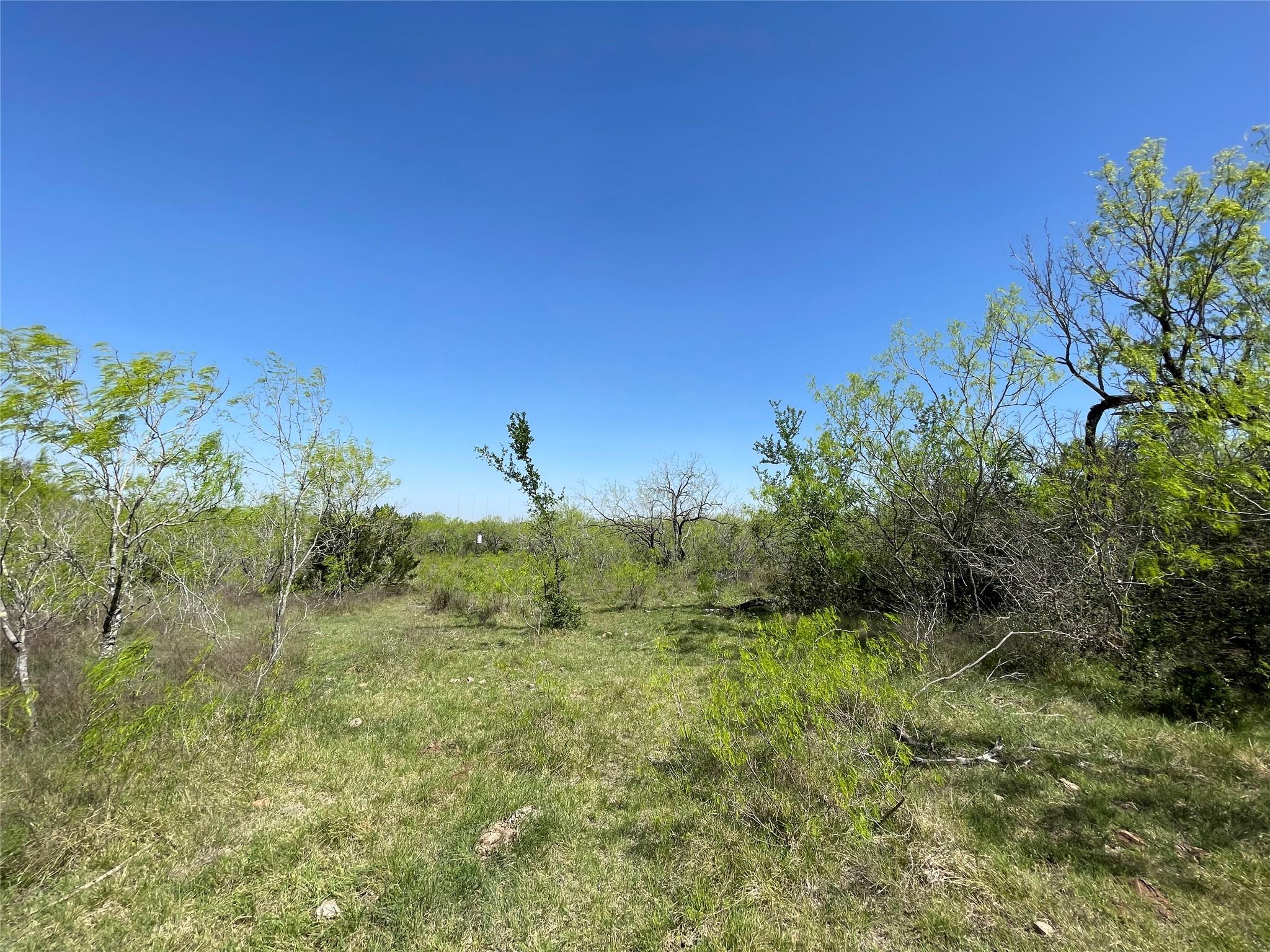 11319 Doyle Overton Road Del Valle TX 78617