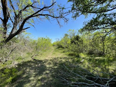 11319 Doyle Overton Road Del Valle TX 78617