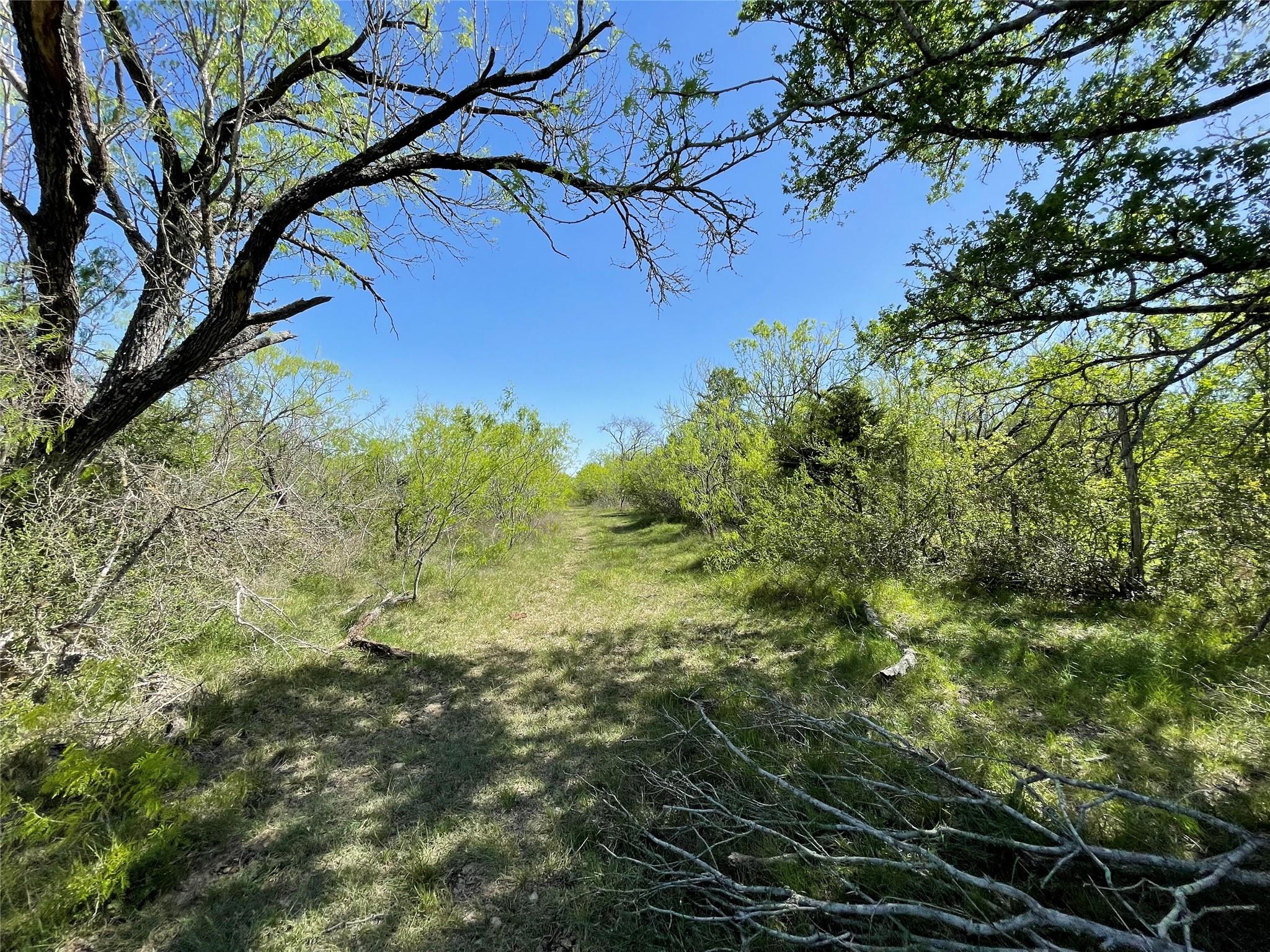 11319 Doyle Overton Road Del Valle TX 78617