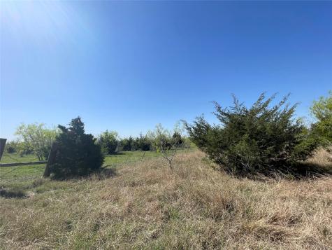 11319 Doyle Overton Road Del Valle TX 78617