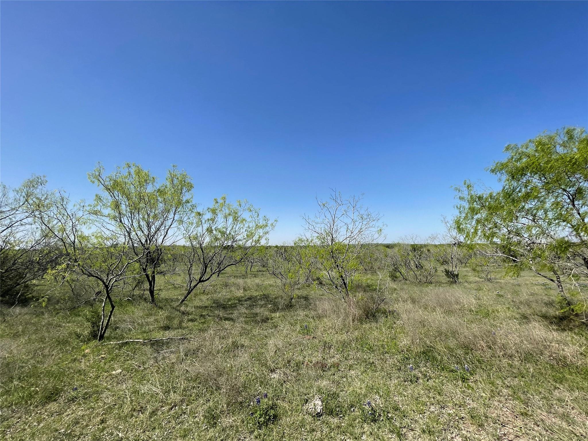 11319 Doyle Overton Road Del Valle TX 78617