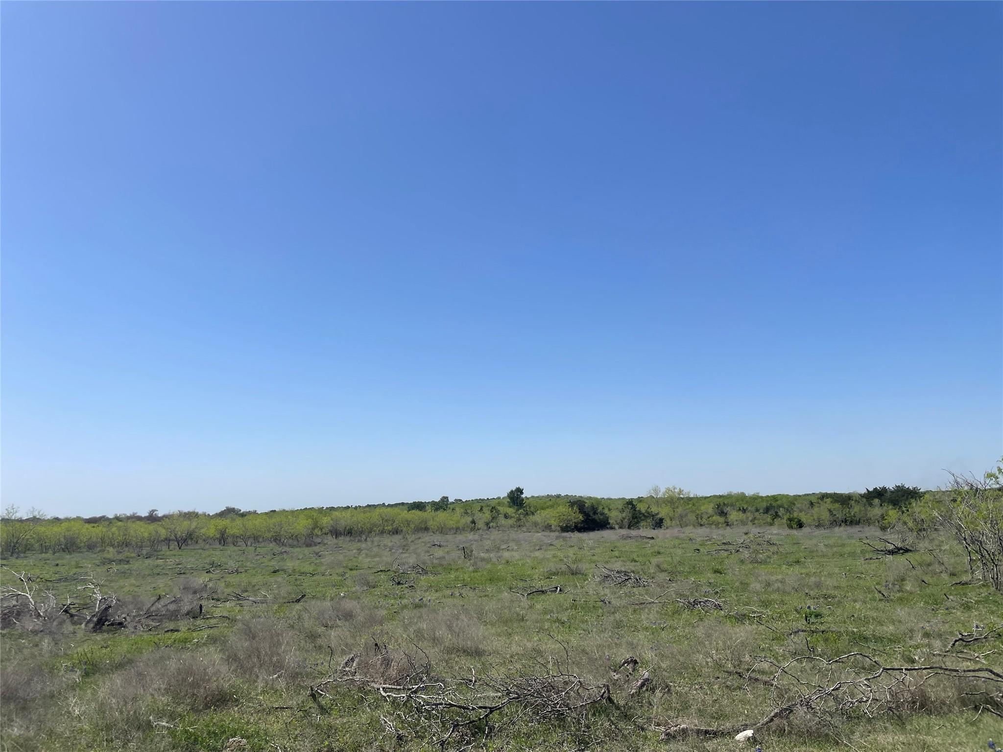 11319 Doyle Overton Road Del Valle TX 78617