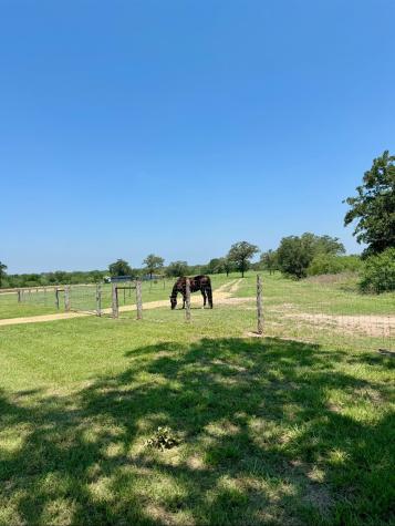 3389 Sparta Field Road Waelder TX 78959