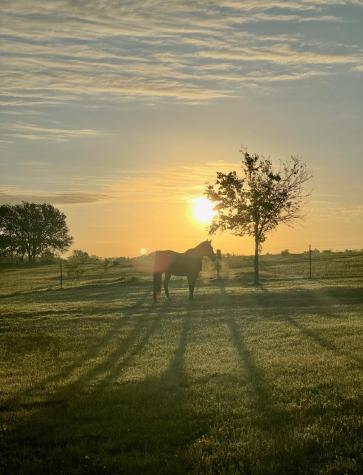 3389 Sparta Field Road Waelder TX 78959