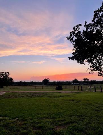 3389 Sparta Field Road Waelder TX 78959