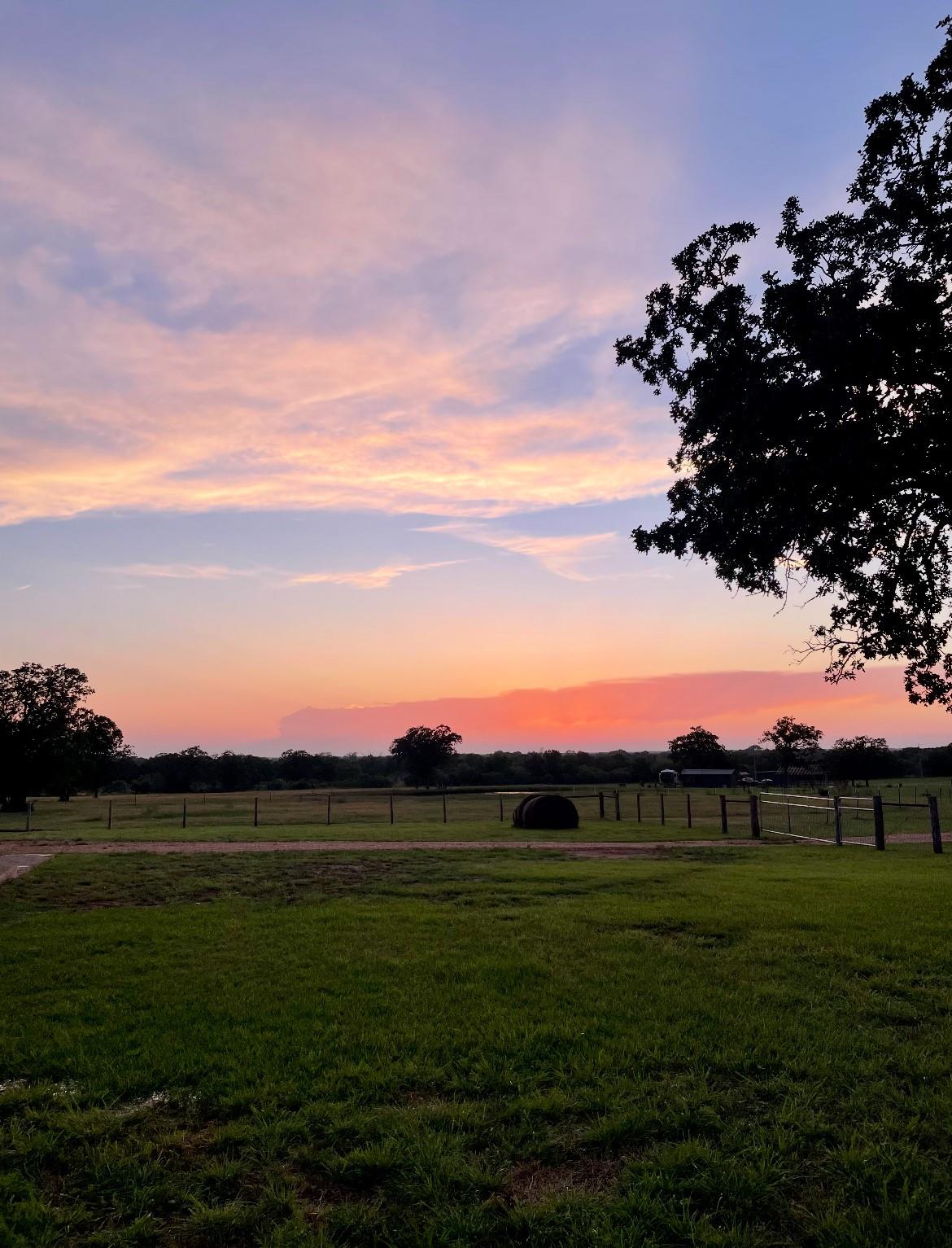 3389 Sparta Field Road Waelder TX 78959