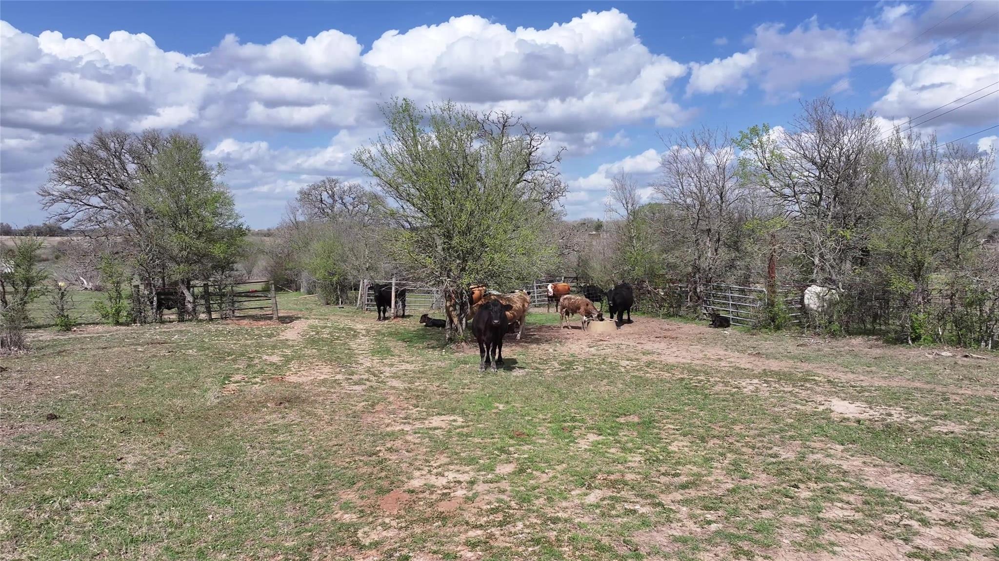 Tbd Fm 2440 Giddings TX 78942