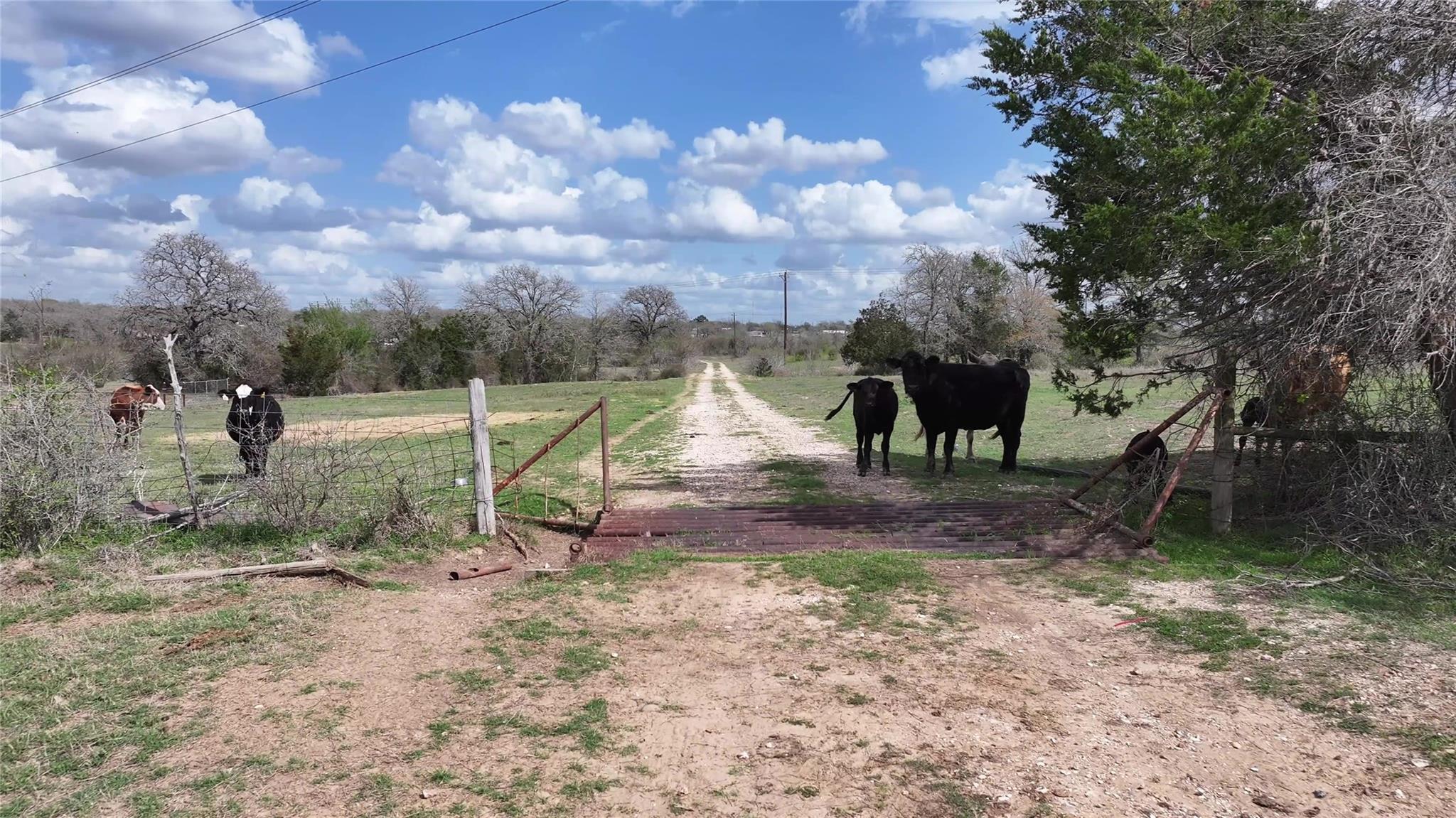Tbd Fm 2440 Giddings TX 78942