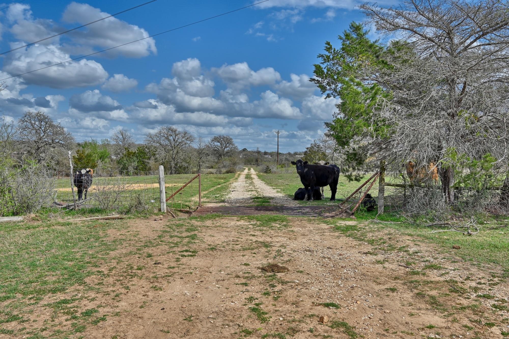 Tbd Fm 2440 Giddings TX 78942