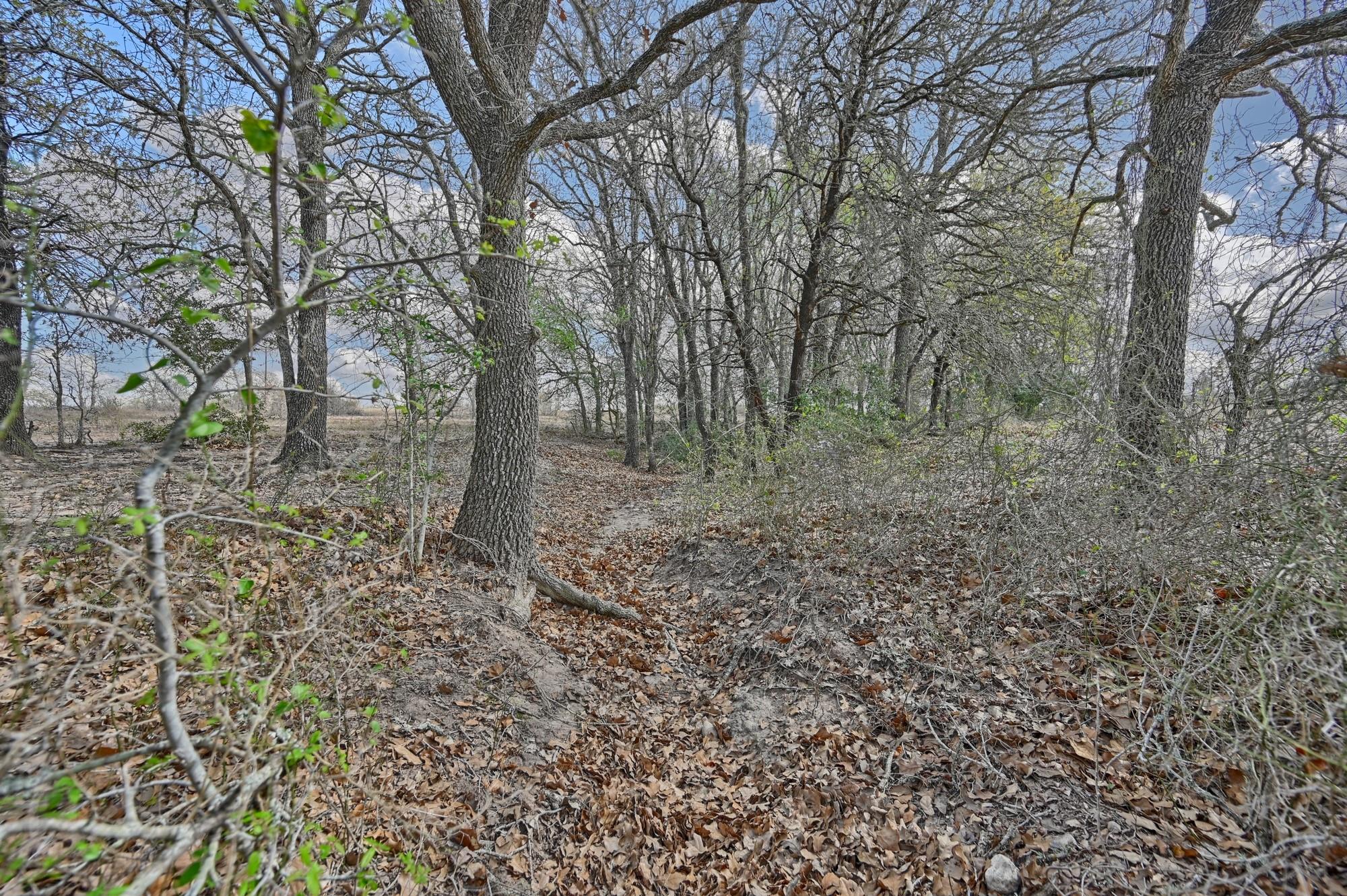 Tbd Fm 2440 Giddings TX 78942
