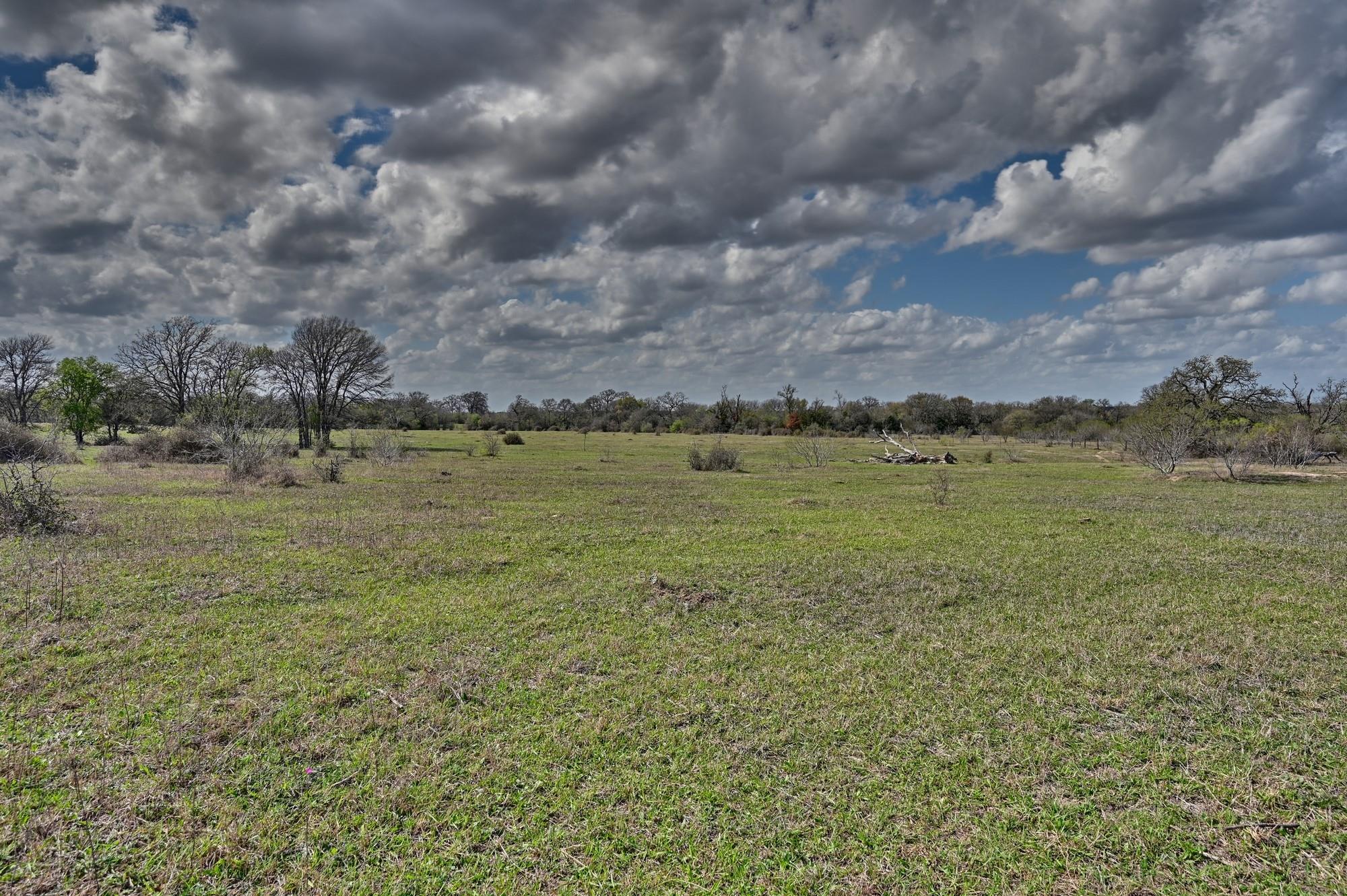 Tbd Fm 2440 Giddings TX 78942