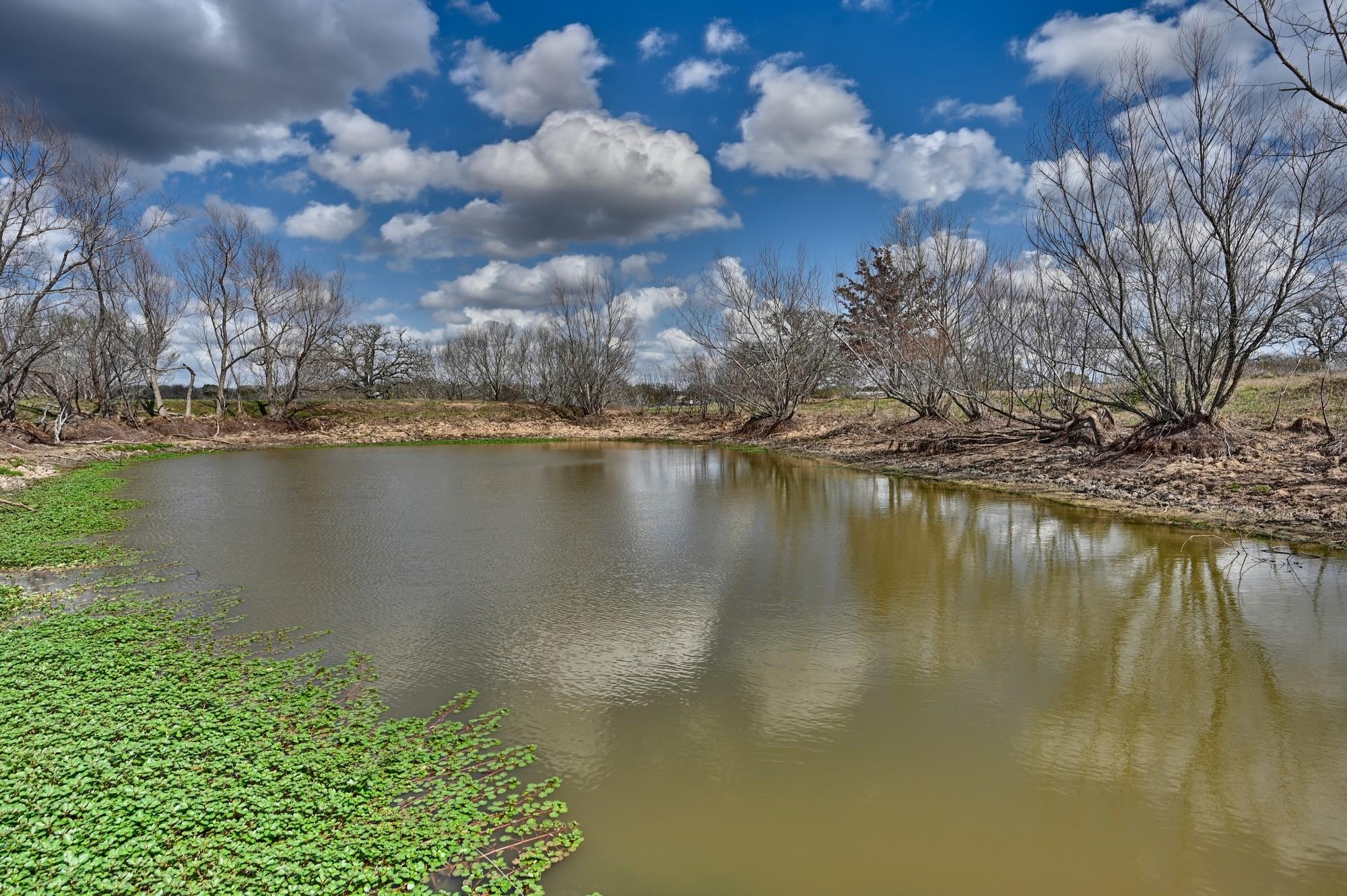 Tbd Fm 2440 Giddings TX 78942