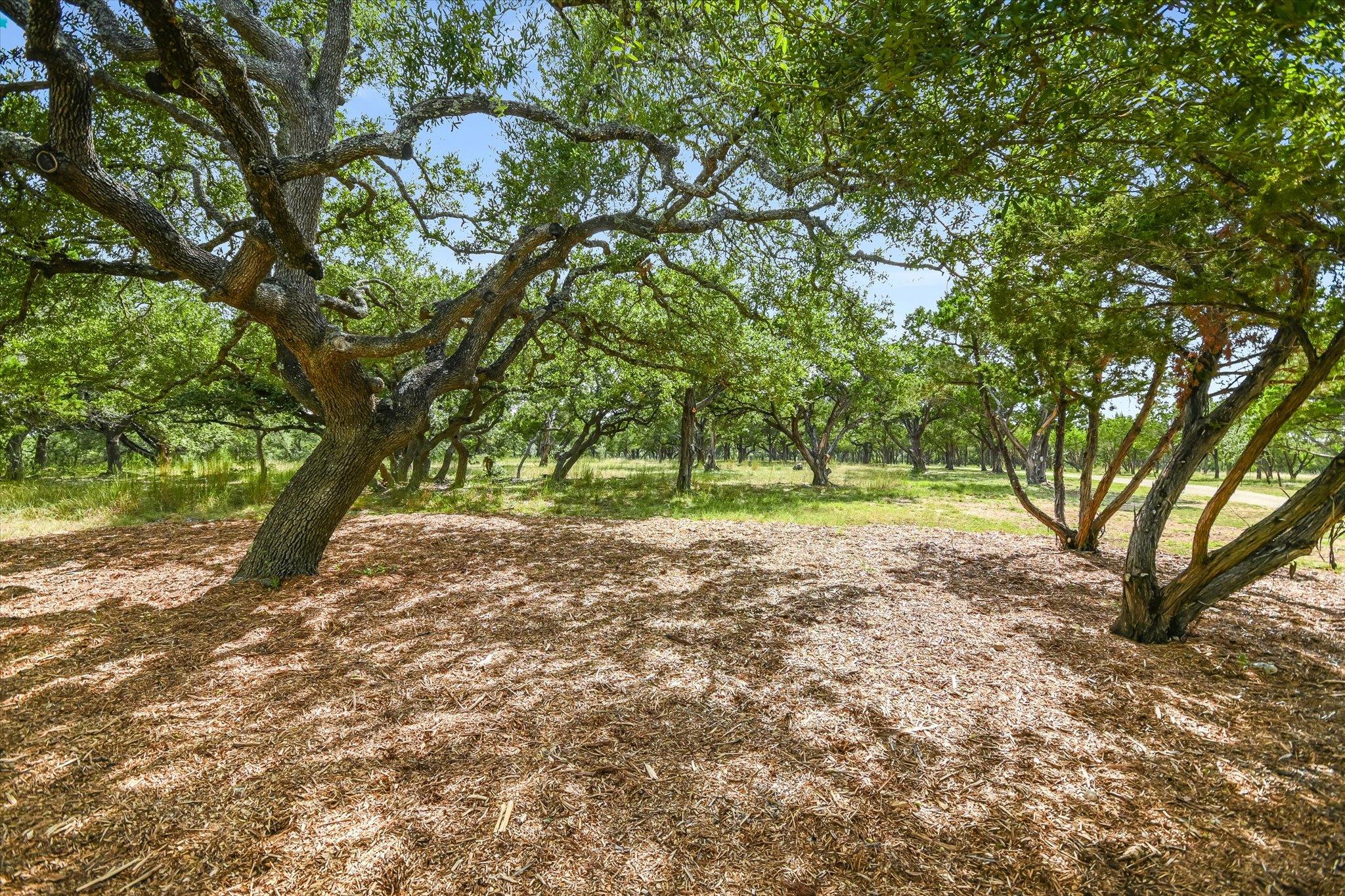900 Longhorn Trail Wimberley TX 78676