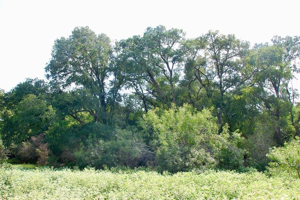 9590 Maynard Hallmark Road Flatonia TX 78941