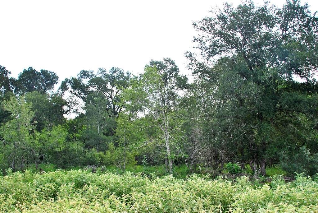9590 Maynard Hallmark Road Flatonia TX 78941