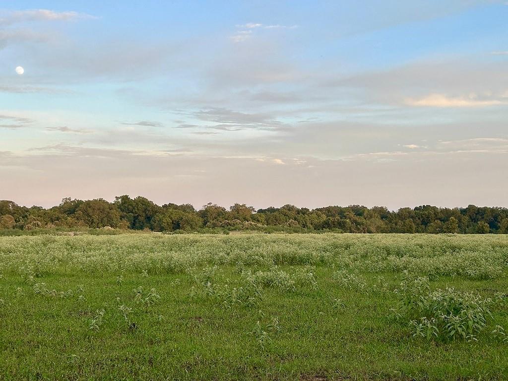 9590 Maynard Hallmark Road Flatonia TX 78941