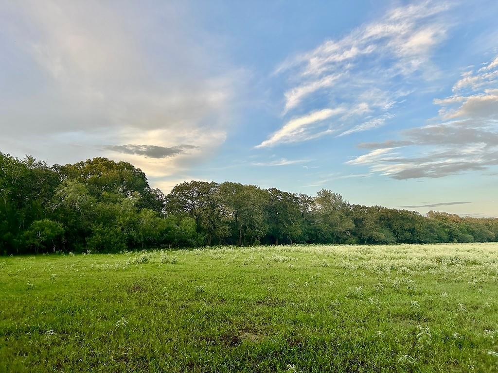 9590 Maynard Hallmark Road Flatonia TX 78941