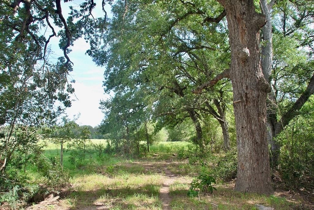 9590 Maynard Hallmark Road Flatonia TX 78941