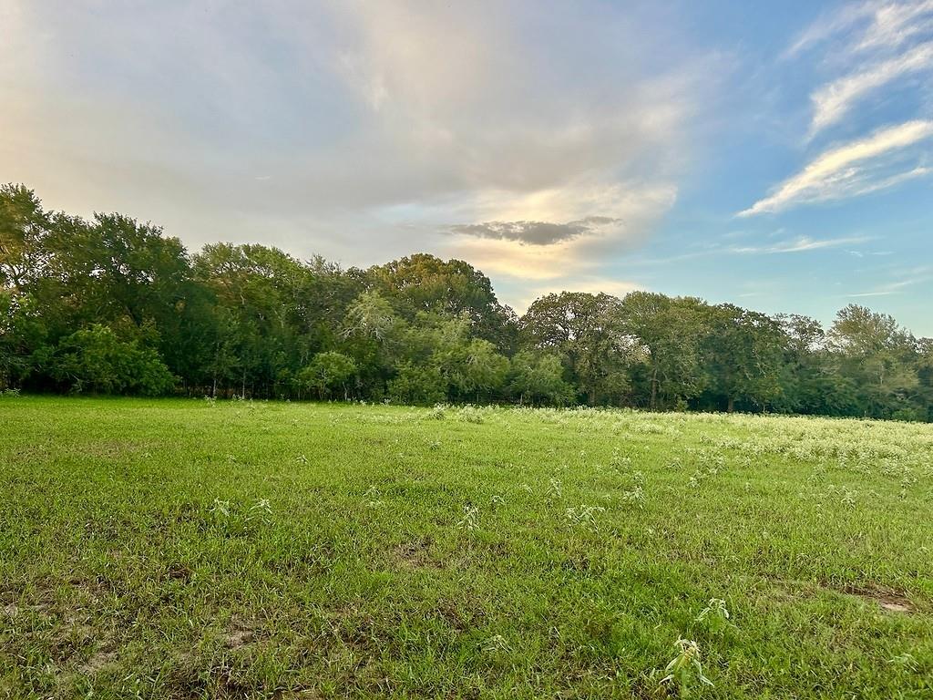 9590 Maynard Hallmark Road Flatonia TX 78941