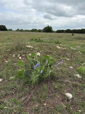 5341 Cr 236 Liberty Hill TX 78642