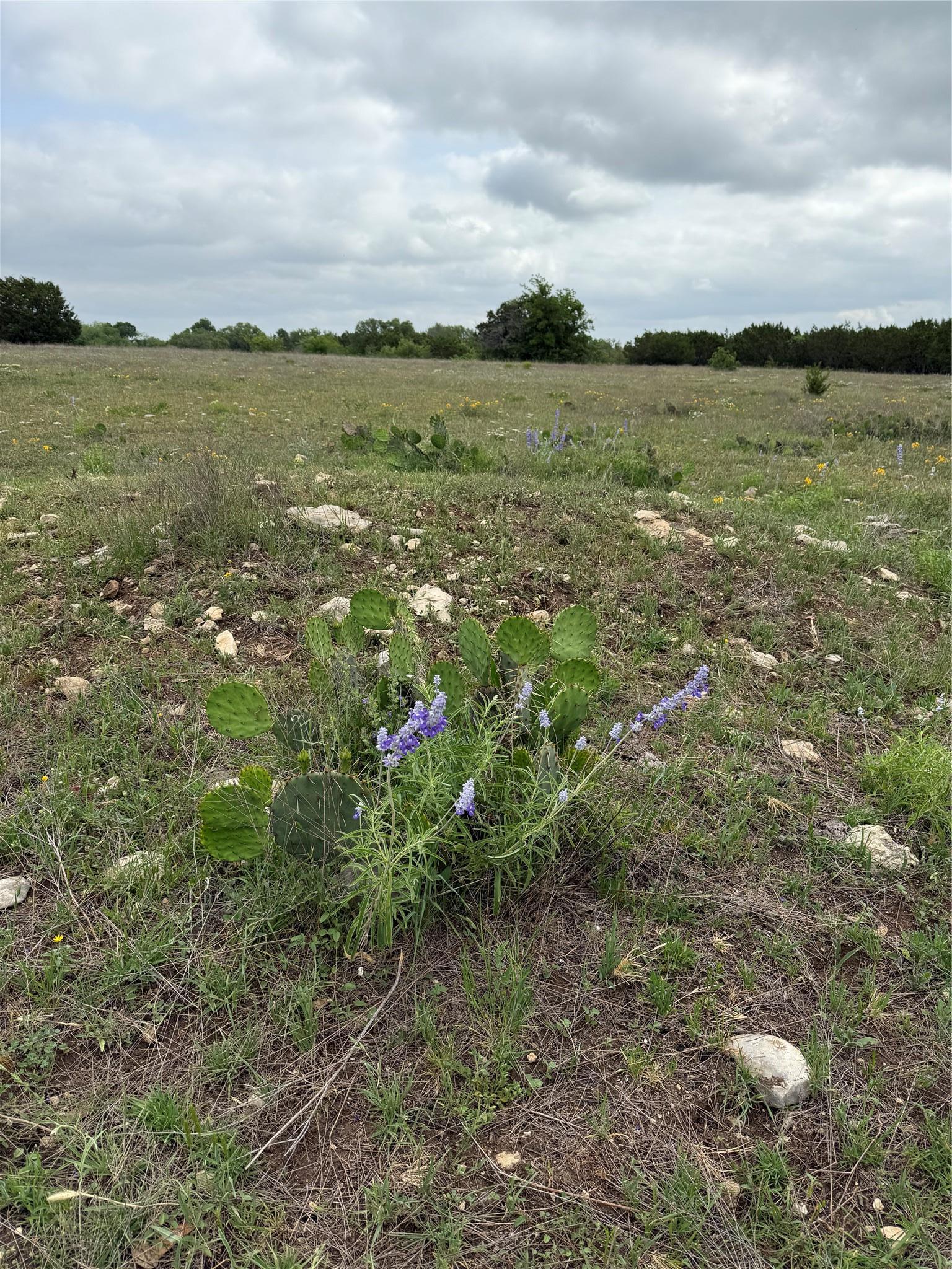 5341 Cr 236 Liberty Hill TX 78642