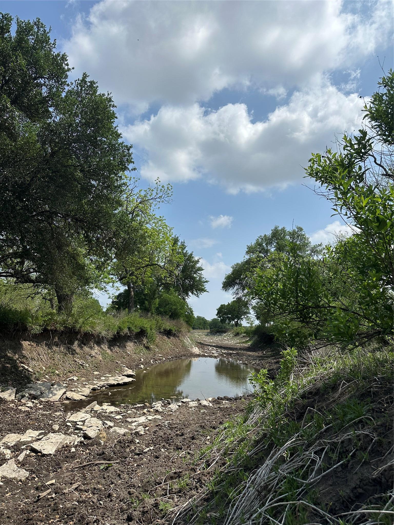 5341 Cr 236 Liberty Hill TX 78642
