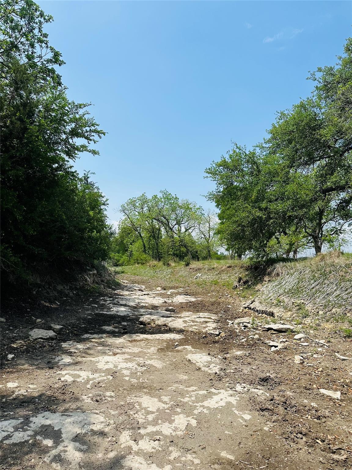 5341 Cr 236 Liberty Hill TX 78642
