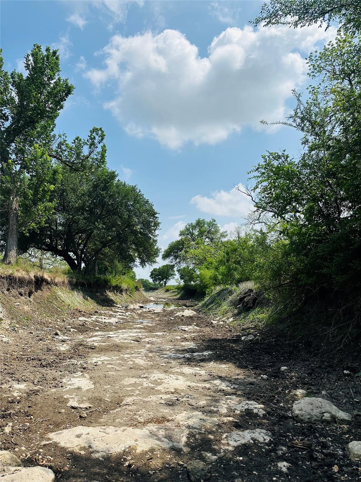 5341 Cr 236 Liberty Hill TX 78642