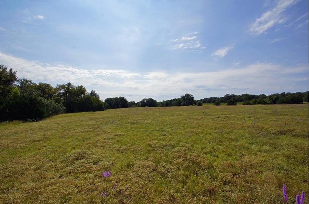 5341 Cr 236 Liberty Hill TX 78642