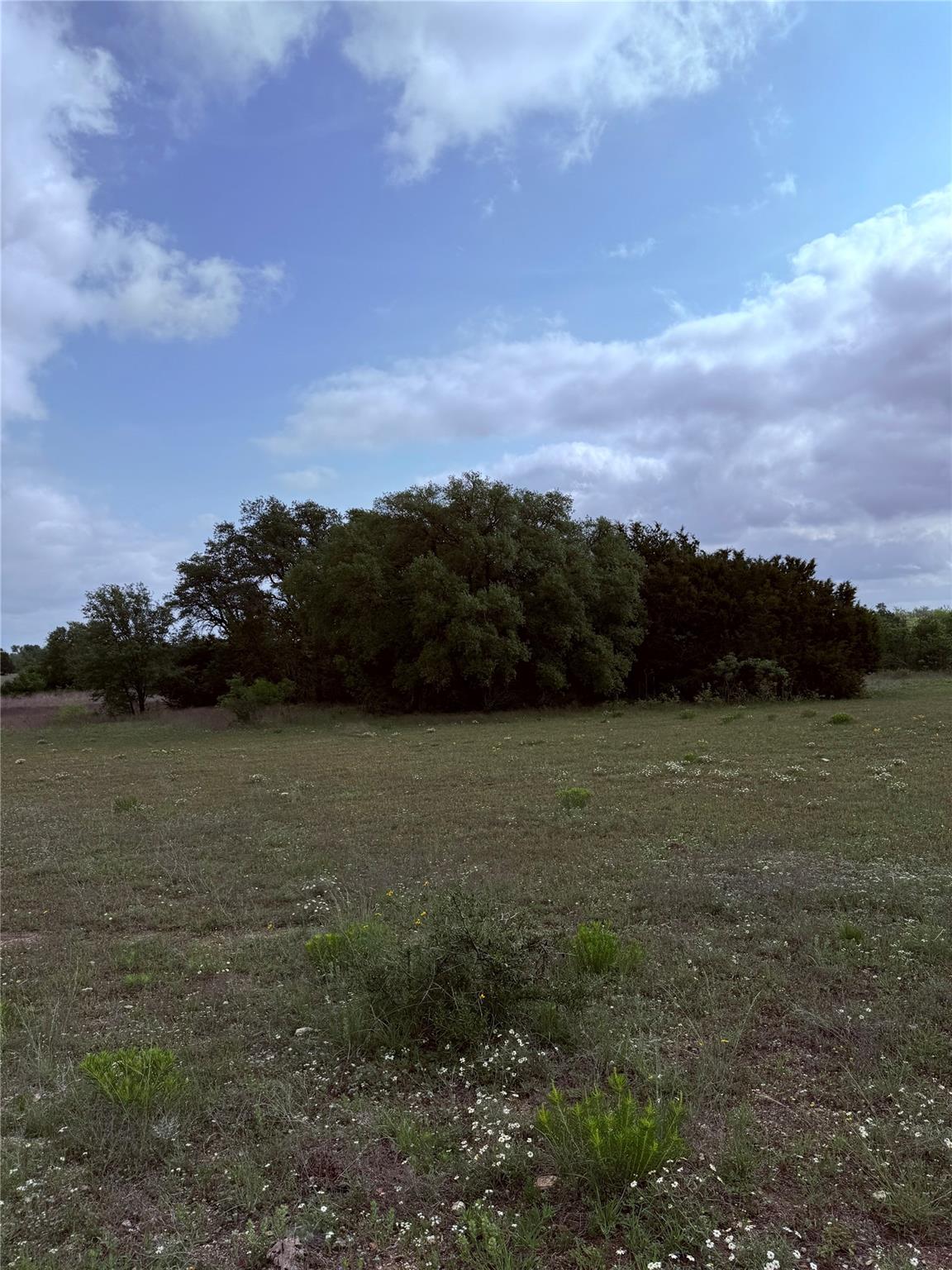 5341 Cr 236 Liberty Hill TX 78642