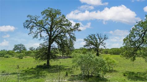2612 Roosevelt Drive Kingsbury TX 78638