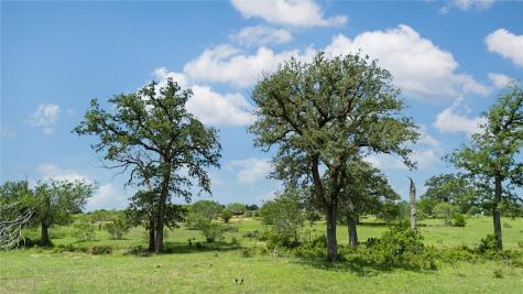 2612 Roosevelt Drive Kingsbury TX 78638