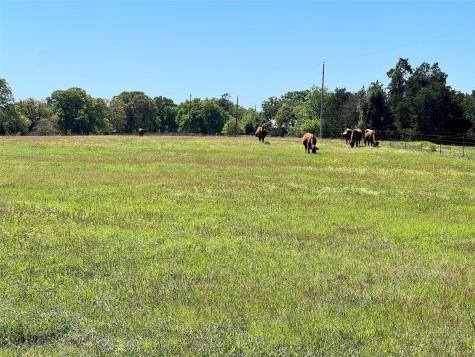 2542 County Road 306 Lexington TX 78947