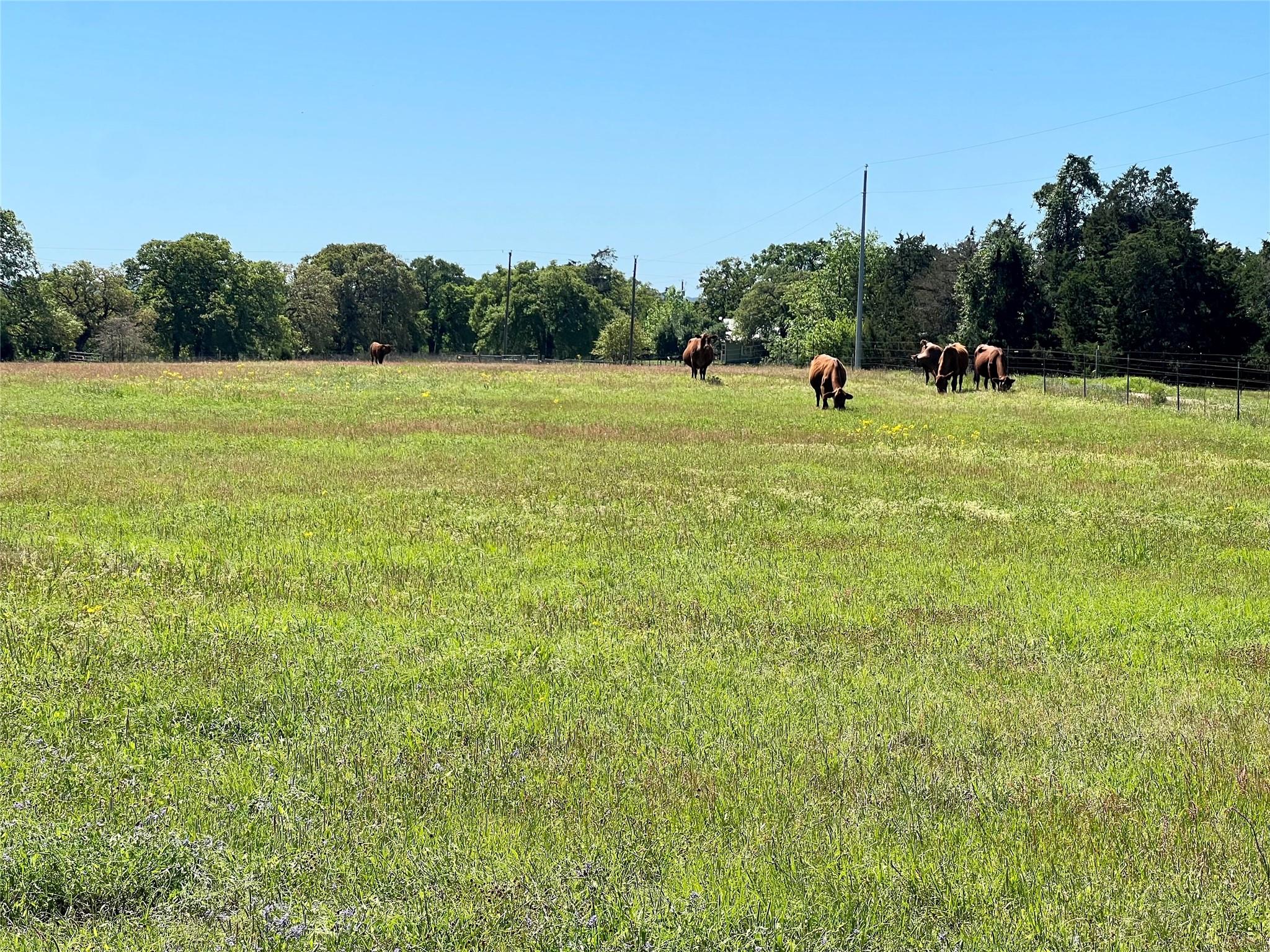 2542 County Road 306 Lexington TX 78947