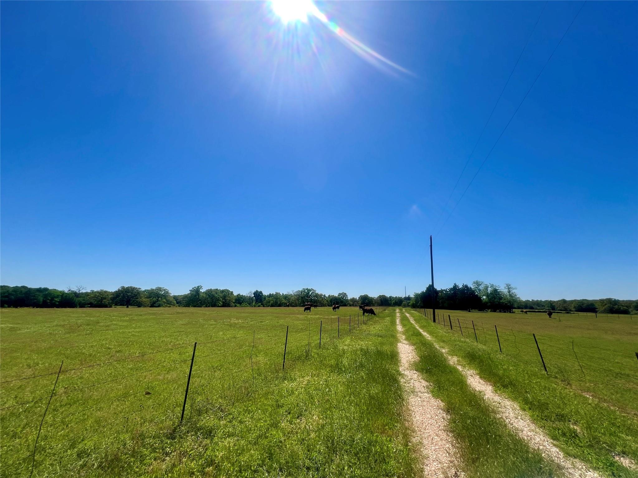 2542 County Road 306 Lexington TX 78947